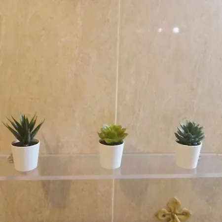 Apartamento Coqueto Estudio En Calle Vela